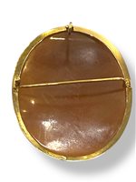 Brooch Mandile 1922 Woman Cammei antichi in Gold Conchiglia 1MSPC3 - 1MSPC3